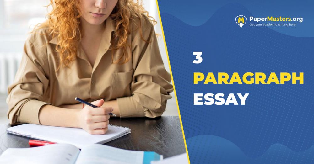 3 paragraph opinion essay example